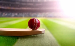 cricket betting image